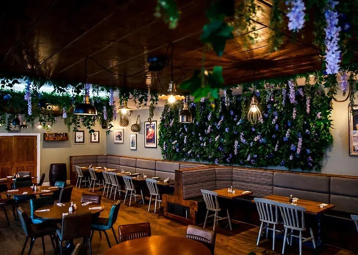 Katch 诺斯阿勒顿